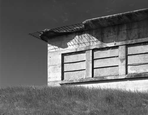 &copy;Brian Vanden Brink