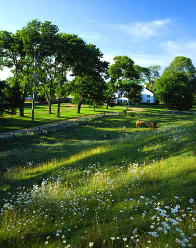 &copy;Brian Vanden Brink