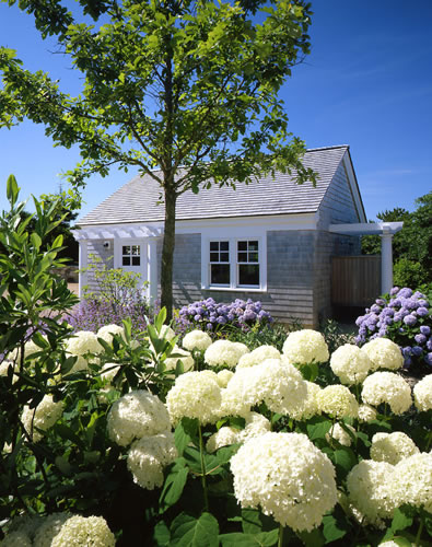 &copy;Brian Vanden Brink