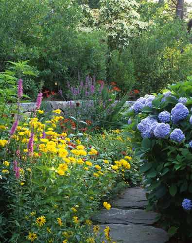 &copy;Brian Vanden Brink