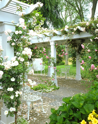 &copy;Brian Vanden Brink