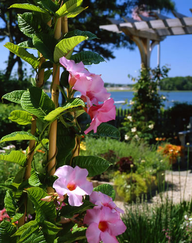 &copy;Brian Vanden Brink