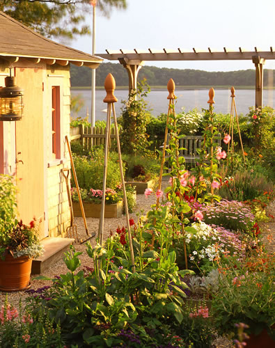 &copy;Brian Vanden Brink