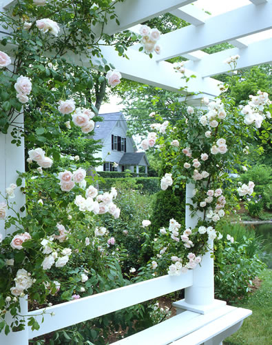 &copy;Brian Vanden Brink