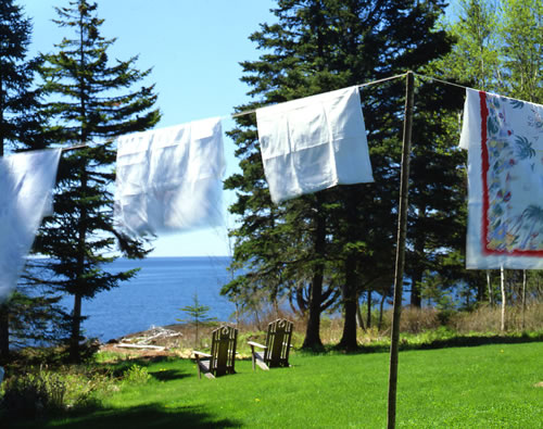 &copy;Brian Vanden Brink