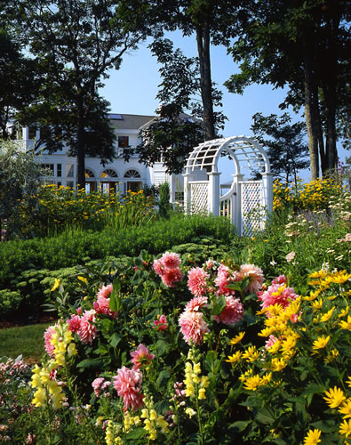 &copy;Brian Vanden Brink