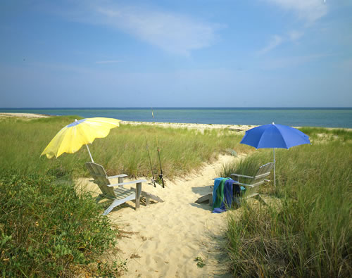 &copy;Brian Vanden Brink