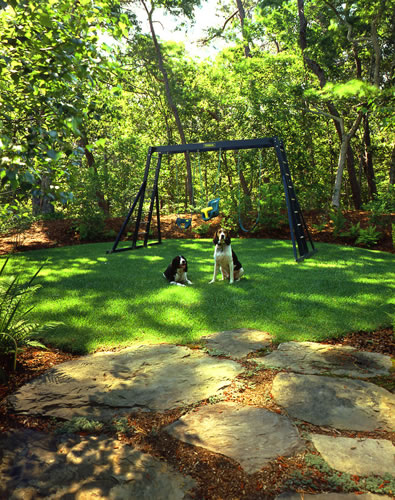 &copy;Brian Vanden Brink