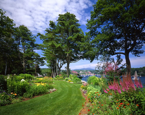 &copy;Brian Vanden Brink