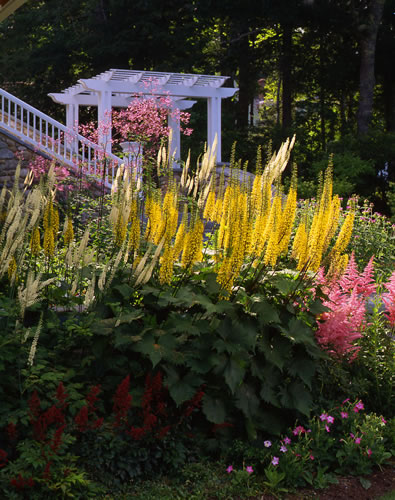 &copy;Brian Vanden Brink