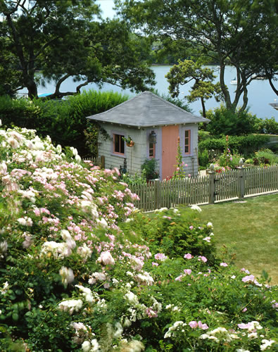 &copy;Brian Vanden Brink