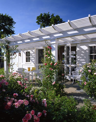 &copy;Brian Vanden Brink