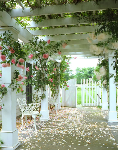 &copy;Brian Vanden Brink