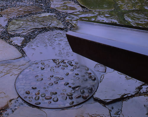 &copy;Brian Vanden Brink