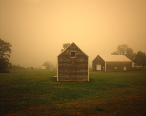 &copy;Brian Vanden Brink